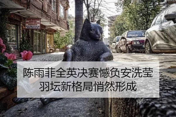 chen-yu-fei-quan-ying-jue-sai-han-fu-an-xi-ying-yu-tan-xin-ge-ju-qiao-ran-xing-cheng-2-242.jpg